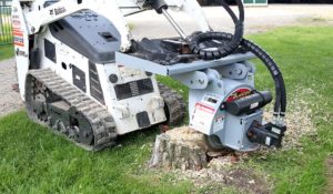 Port Hope stump grinding services